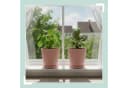 relaxdays Blumentopf mit Untersetzer 2er Set Altrosa Bild 3