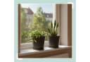 relaxdays Blumentopf mit Untersetzer 2er Set Dunkelgrau Bild 3