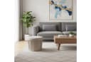 relaxdays Stauraumhocker aus Samt Beige mit Klappfunktion Bild 1