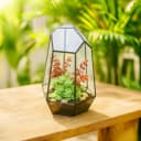 relaxdays Geometrisches Pflanzenterrarium aus Glas, schwarz Bild 1