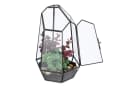 relaxdays Geometrisches Pflanzenterrarium aus Glas, schwarz Bild 2