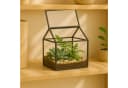 relaxdays Gewächshaus Pflanzenterrarium aus Glas Hausform Schwarz Bild 1