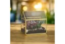 relaxdays Gewächshaus Pflanzenterrarium aus Glas Hausform Schwarz Bild 3