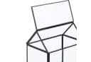relaxdays Gewächshaus Pflanzenterrarium aus Glas Hausform Schwarz Bild 5