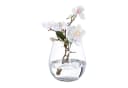 relaxdays Blumenvase Glas 16x14cm Transparent Bild 2