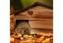 relaxdays Igelhaus mit Bode, Natur Kiefernholz 2-Kammersystem Bild 1