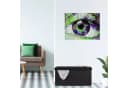 relaxdays Sitzbank Leinen Optik Schwarz Faltbar Mit Stauraum Bild 1