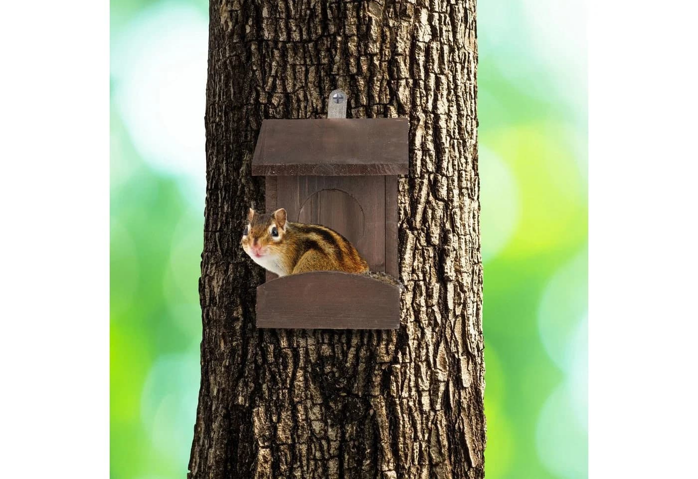 relaxdays Eichhörnchen Futterhaus zum Hängen, Natur Tannenholz - Bild 5