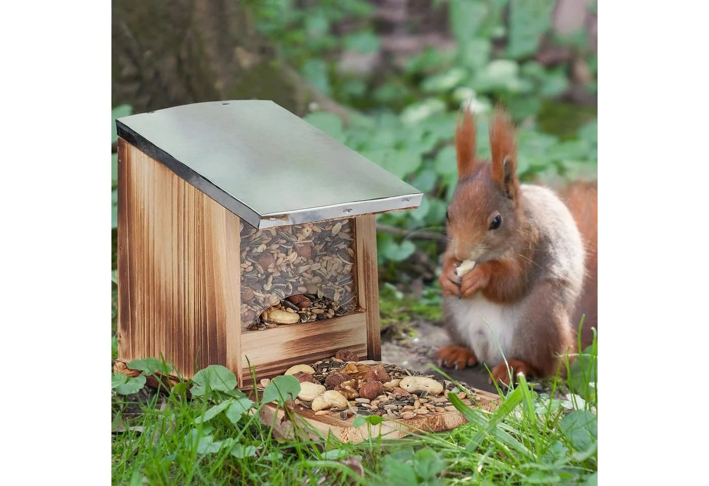 relaxdays Eichhörnchen Futterhaus mit klappbarem Metalldach, Dunkelgrün - Bild 3