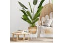 relaxdays Blumenständer 2er Set Weiß Verstellbar Pflanzenständer Bild 5