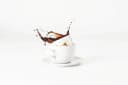 Seltmann Weiden Tasse Liberty Golden Rose Hip Porzellan 0,26 l Bild 4