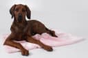 TrendPet Tierdecke Coco Rosa 100% Polyester Kuscheldecke Bild 5