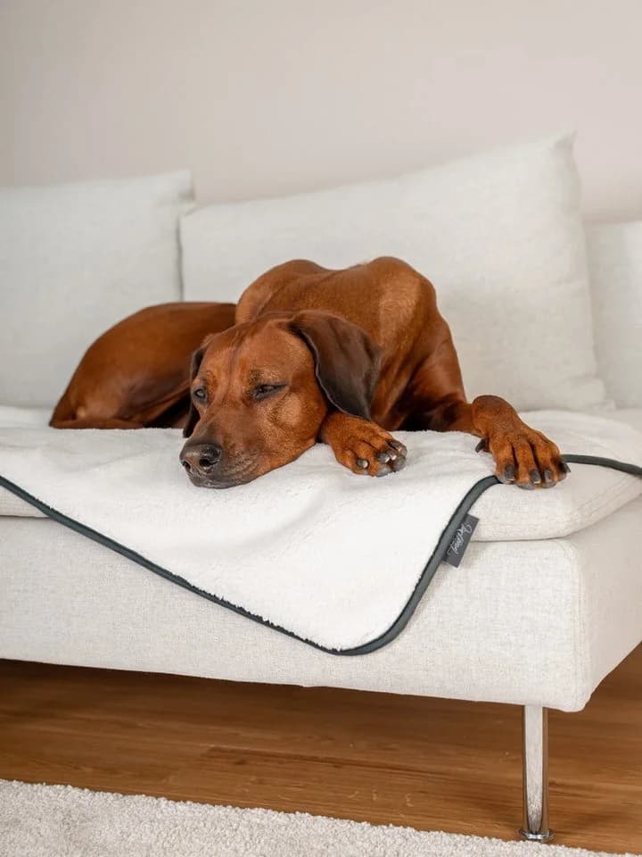 TrendPet Hundematte Pearl wasserdicht Grau/Beige - Bild 3