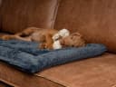 TrendPet Tierdecke Harmony Anthrazit 100% Polyester Bild 3