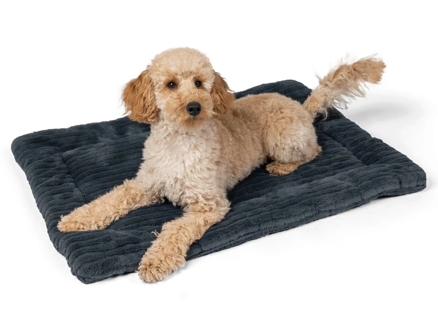 TrendPet Tierdecke Harmony Anthrazit 100% Polyester - Bild 5