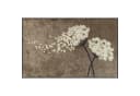 Salonloewe Fußmatte Wishfull Blossom Taupe Polyamid Bild 1