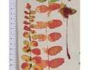 SCHÖNER LEBEN. Tischdecke Ranken Blätter Aquarell beige terrakotta grün rot Bild 5