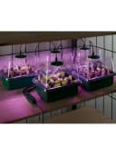Parkside LED Anzuchtkasten Set mit Timer, 5 Mini-Gewächshäuser Bild 1