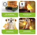 EASYmaxx LED Solarleuchte Erdmännchen Vogeltränke Gold Bild 3
