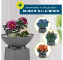 Hoberg LED Pflanzsäule Grau Beton-Optik mit Timer Bild 3