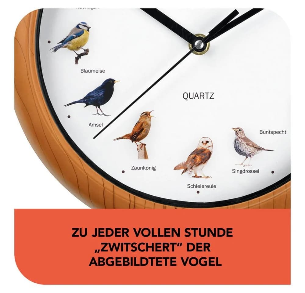 MAXXMEE Wanduhr mit Vogelstimmen & Nachtabschaltung - Bild 3