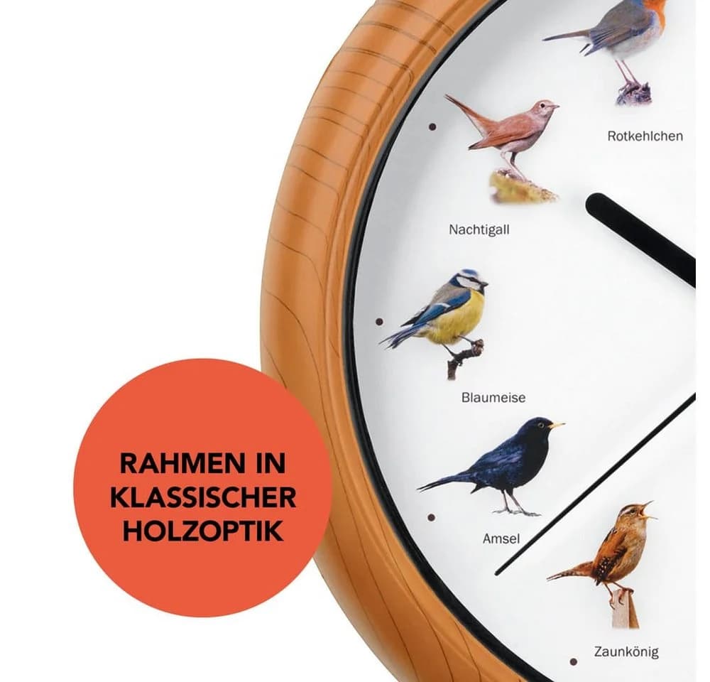MAXXMEE Wanduhr mit Vogelstimmen & Nachtabschaltung - Bild 4
