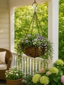 finehomegarden Blumenampel Hängekorb Metall mit Kette Bild 1
