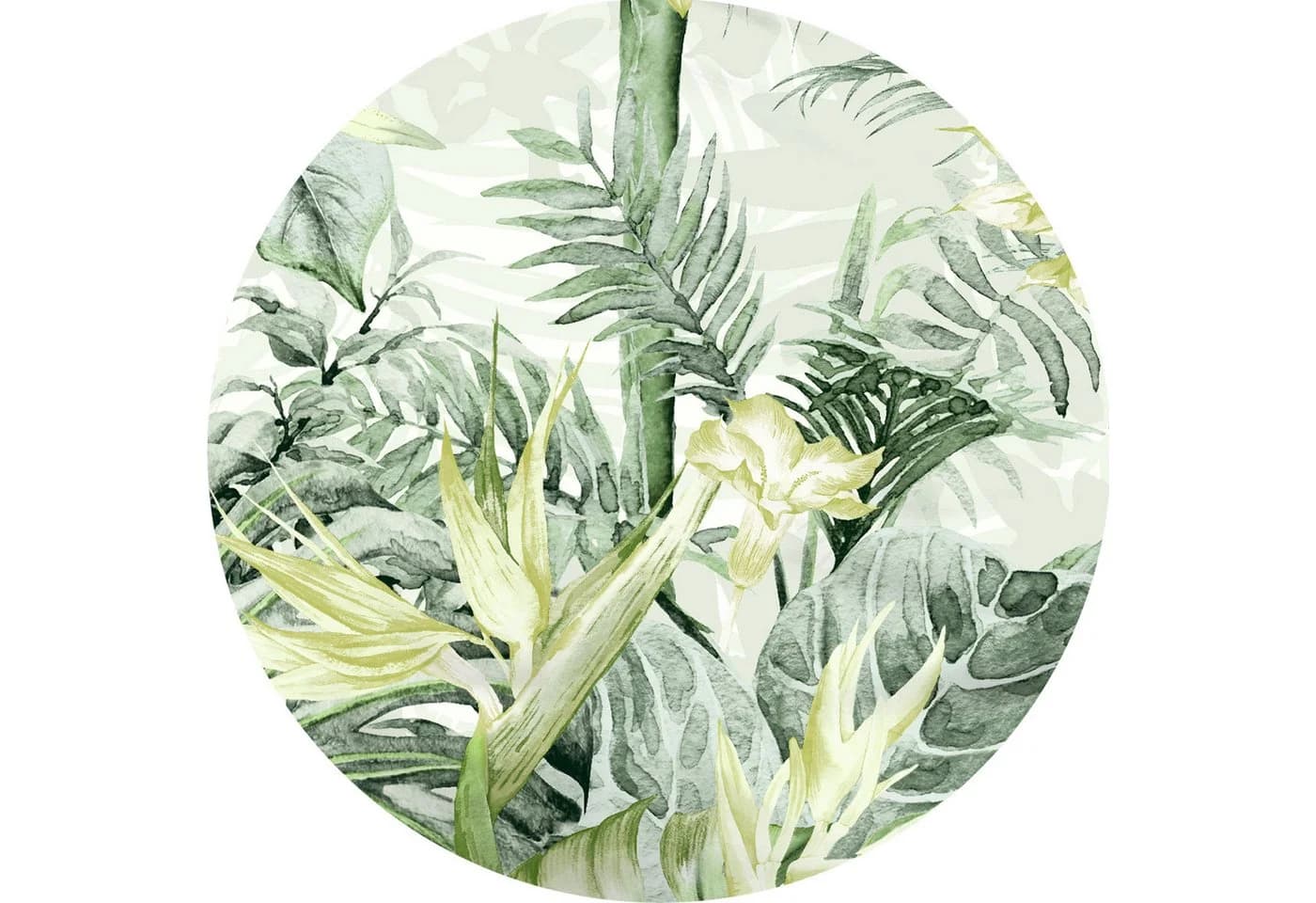 Kaeppel Bettwäsche 135x200cm Junglepracht Grün Mako-Satin 2-teilig - Bild 3