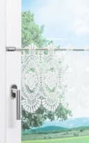 Plauener Spitze® Scheibengardine Blumenspitze Transparent Bild 4