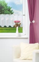 Plauener Spitze® Scheibengardine Magnolie Transparent Bild 1