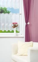 Plauener Spitze® Scheibengardine Magnolie Transparent Bild 4