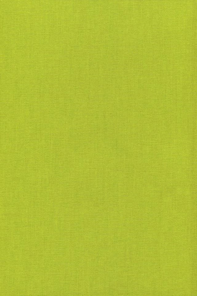 Rollo Basisrollo Tageslicht Gelbgrün, LYSEL®, blickdicht, 175x82.5cm