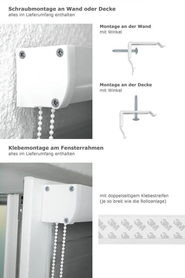 none - Bild 3