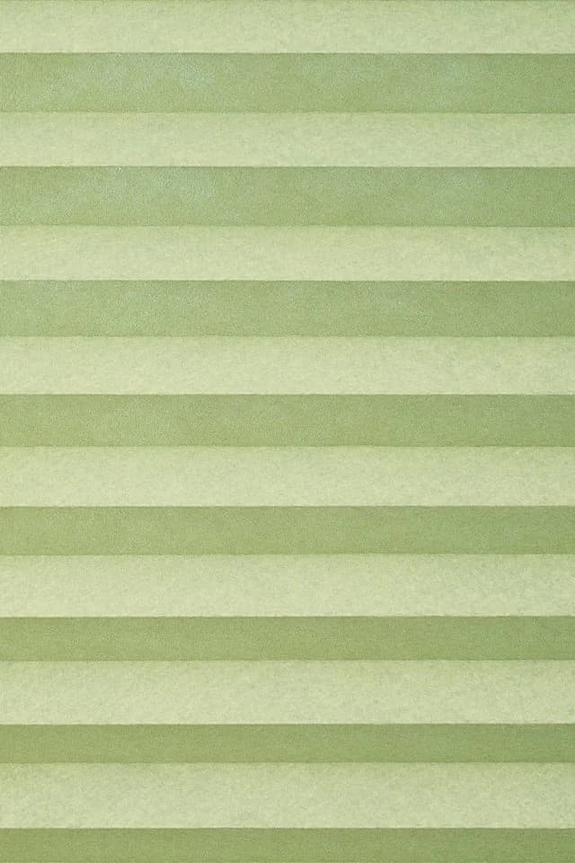 LYSEL® Plissee Klemmen Grasgrün blickdicht