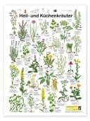 Posterlounge Wandbild Heil- und Küchenkräuter Poster Bunt Bild 2