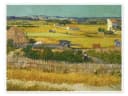 Posterlounge Wandbild Die Ernte 1888 Vincent van Gogh Poster Bild 2
