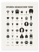 Posterlounge Wandbild Spuren heimischer Tiere I Iris Luckhaus Bild 2