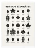 Posterlounge Wandbild Heimische Baumblätter Iris Luckhaus Bild 2