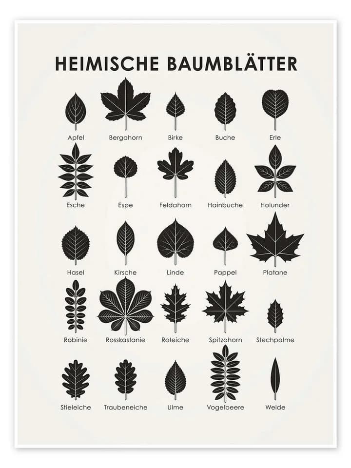 Posterlounge Wandbild Heimische Baumblätter Iris Luckhaus - Bild 2