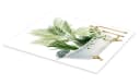 Posterlounge Wandbild Plant Bath I Poster Grün Bild 1