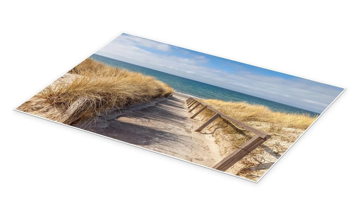 Posterlounge Wandbild Weg zum Strand an der Ostsee Poster