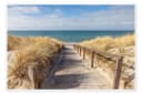 Posterlounge Wandbild Weg zum Strand an der Ostsee Poster Bild 2