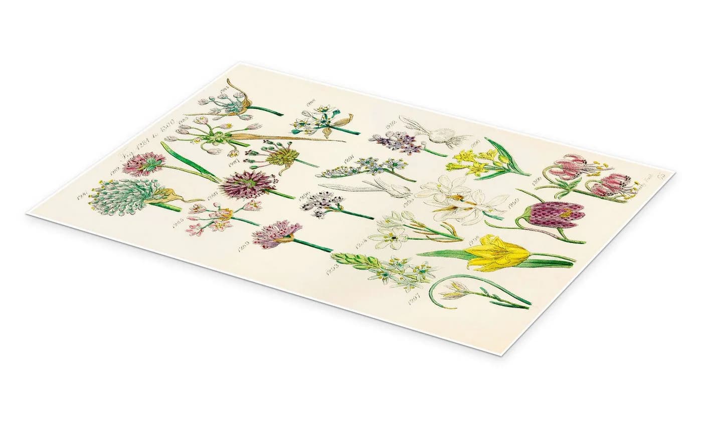 Posterlounge Wandbild Wildblumen Poster Kunstdruck