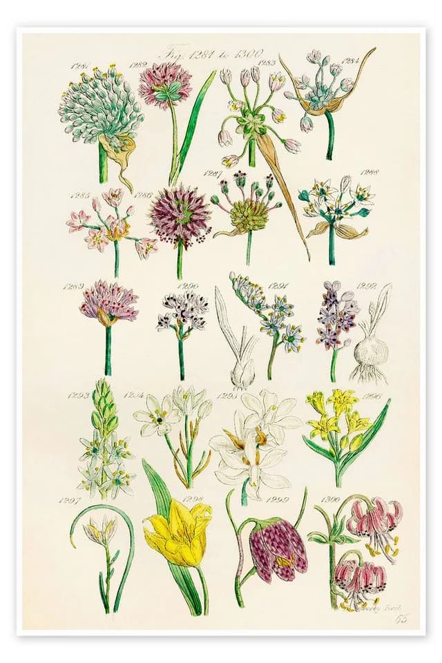Posterlounge Wandbild Wildblumen Poster Kunstdruck - Bild 2