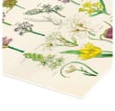 Posterlounge Wandbild Wildblumen Poster Kunstdruck Bild 3