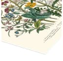 Posterlounge Wandbild Vergissmeinnicht und Hahnenfuß 1842 Poster Bild 3