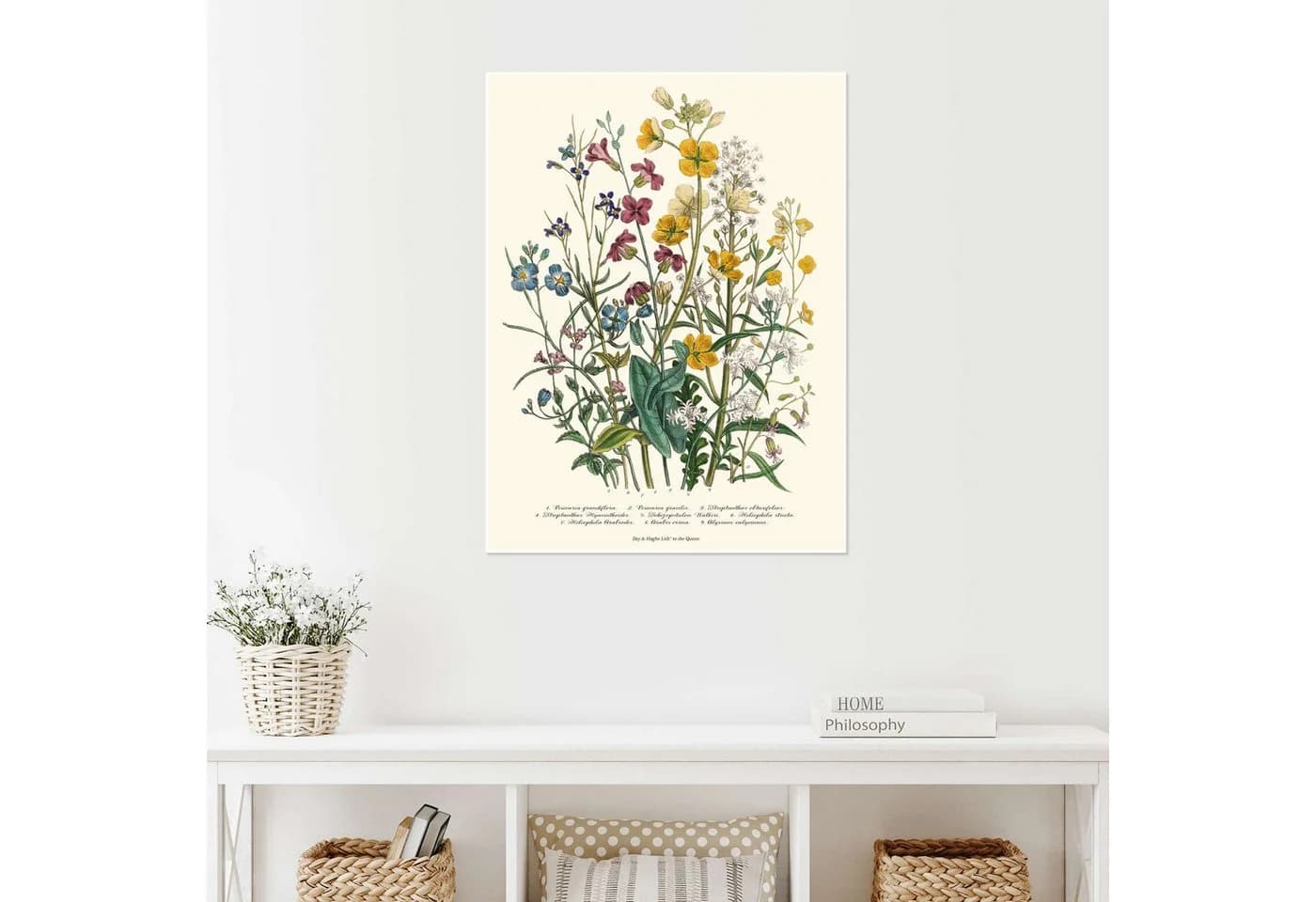 Posterlounge Wandbild Vergissmeinnicht und Hahnenfuß 1842 Poster - Bild 4