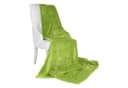 Beautissu Wohndecke Aurelia Grün Microfaser Kuscheldecke Bild 1
