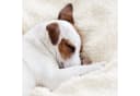 Beautissu Alina Sherpa Decke Beige/Weiß Kuscheldecke Bild 5