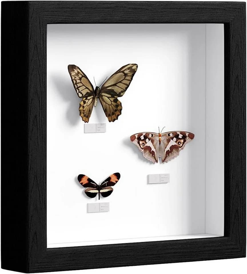 EUGAD 3D-Bilderrahmen Schwarz/Weiß quadratisch aus MDF - Bild 2